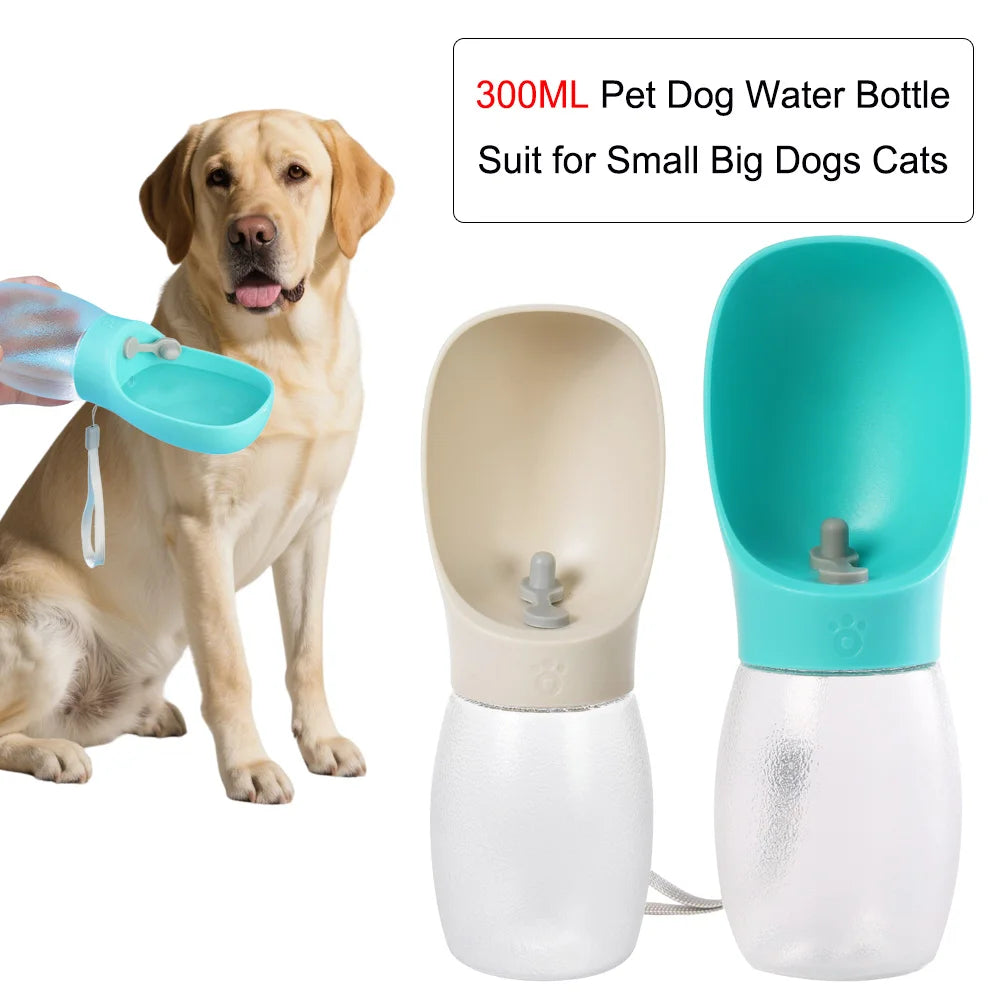 gourde pour chien 300ml