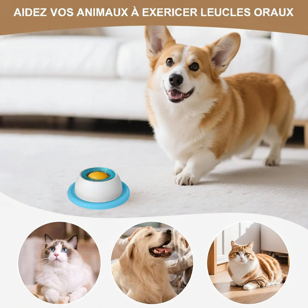 Jouet Distributeur de Friandises pour Chien – Mangeoire Lente Anti-Glouton pour Chiot