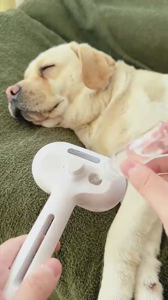 Brosse Vapeur Électrique pour Chien et Chat 3-en-1 | Soin & Démêlage