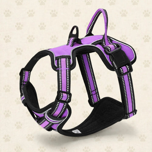 Harnais Chien Réglable Réfléchissant – Respirant Sans Traction S M L XL