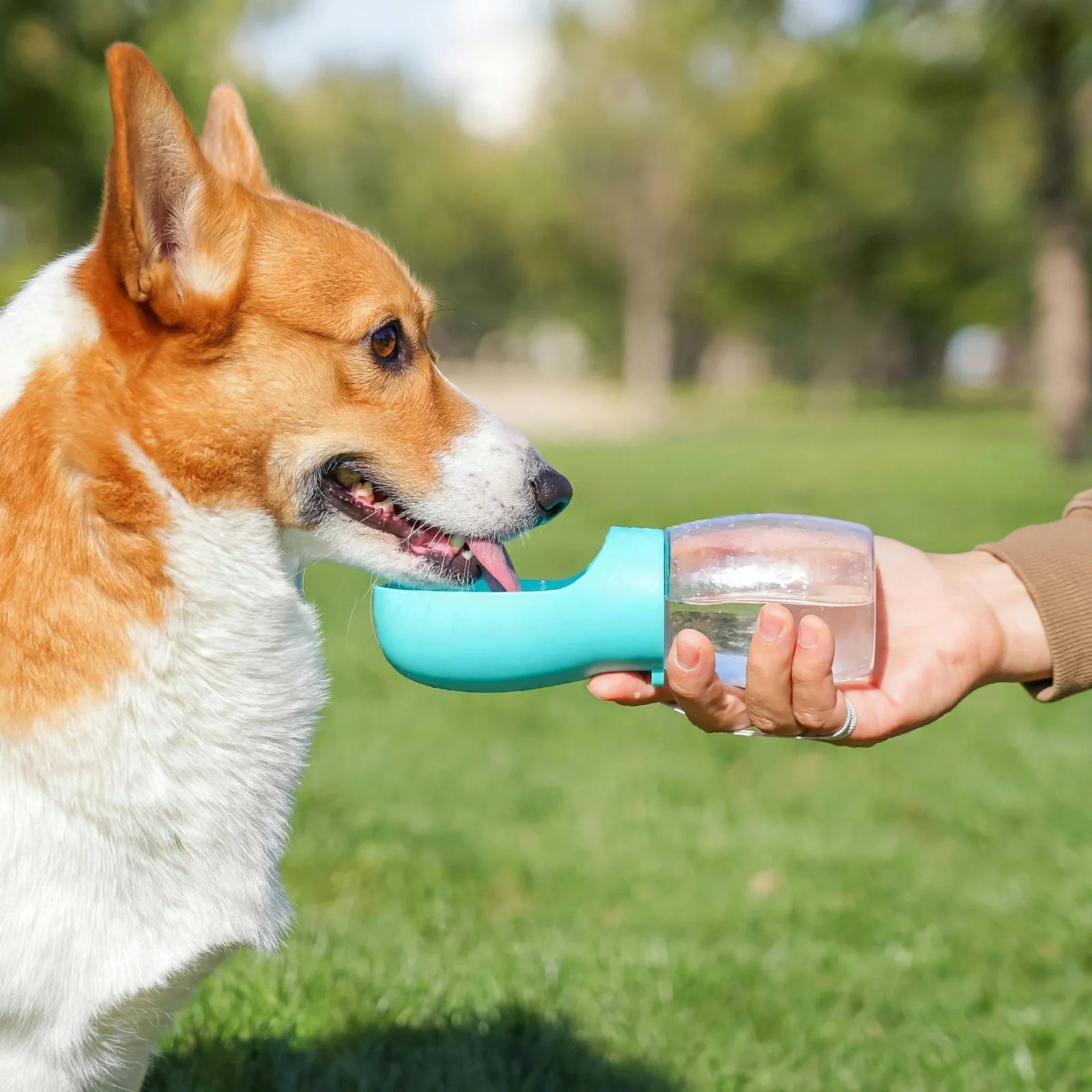 Gourde pour chien anti-fuite, bouton poussoir facile à utiliser