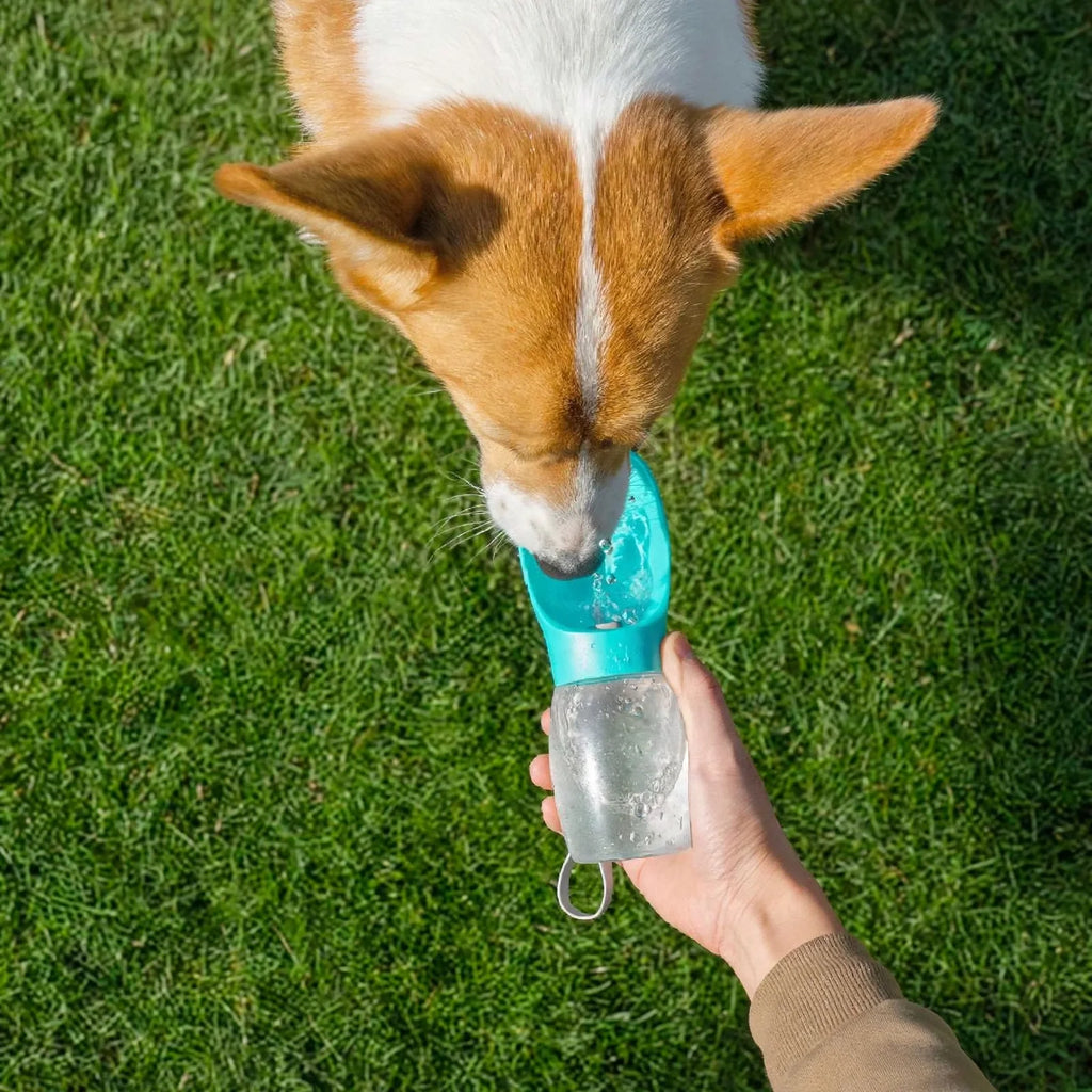 Gourde portable pour animaux, légère et ergonomique avec dragonne