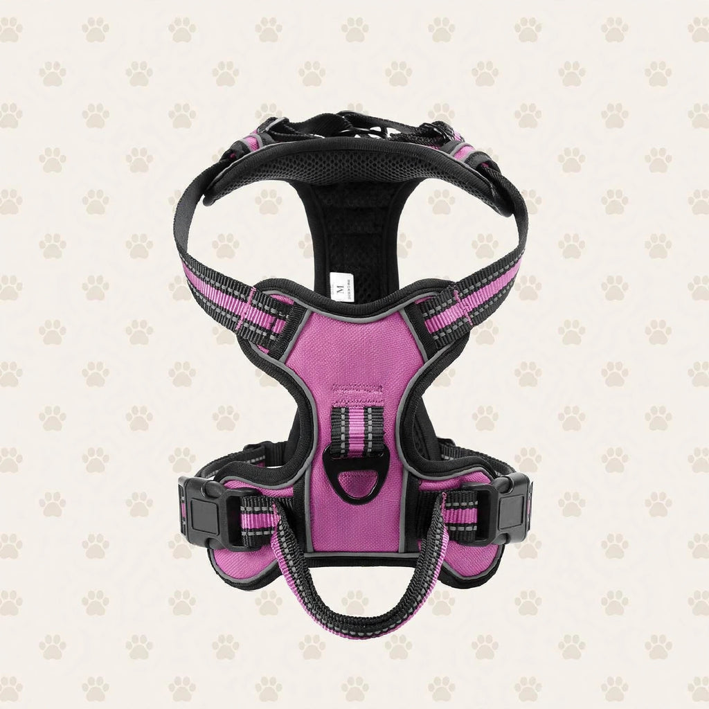 Harnais Chien Réglable Réfléchissant – Respirant Sans Traction S M L XL