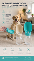 Gourde portable pour chien 300ml, design 2-en-1 avec bol intégré